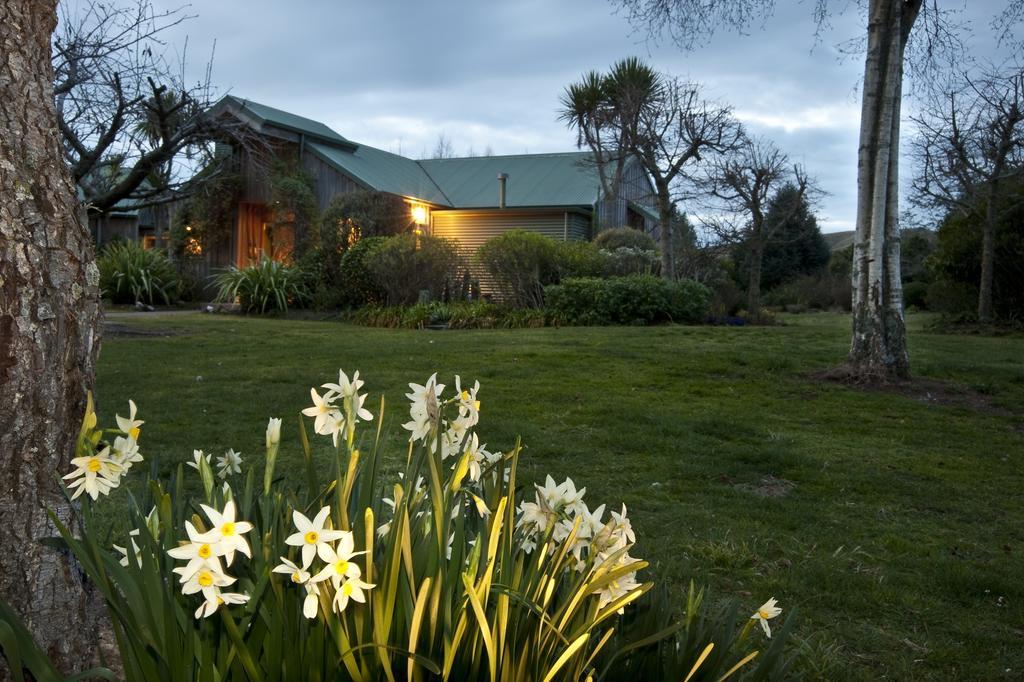 Whakaipo Lodge Lac Lac Taupo Extérieur photo